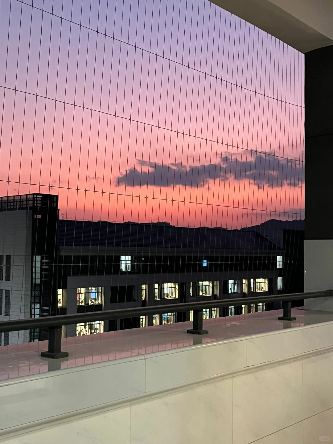 教学楼铁网外的天空(图源:素履以往@小红书)