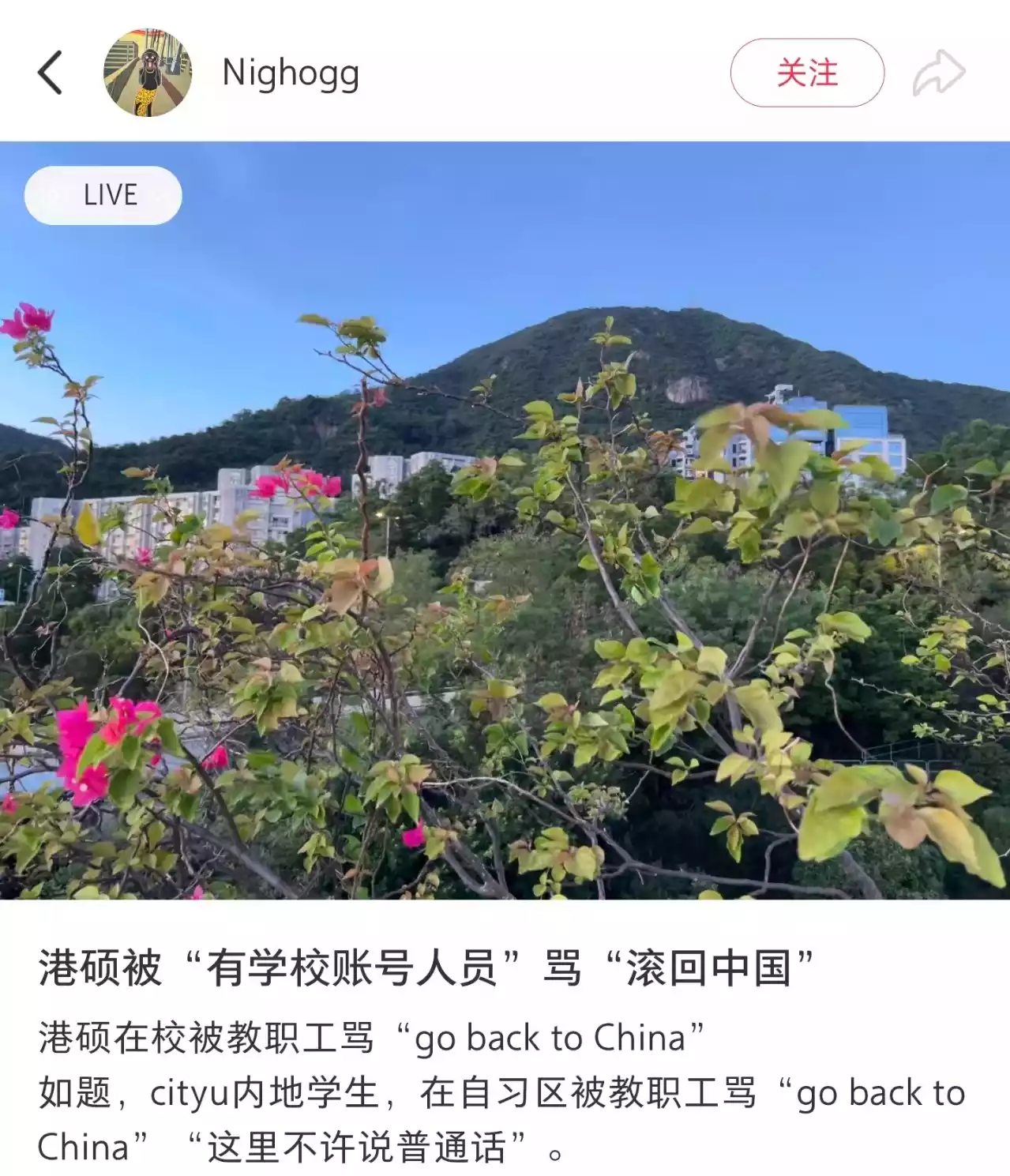 来源:小红书