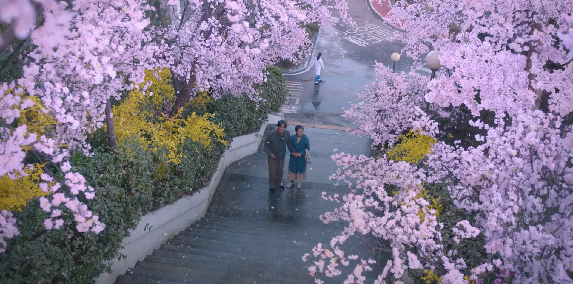 来源:第16集